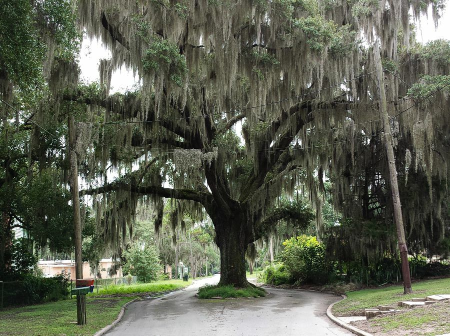 Click to See Next Image